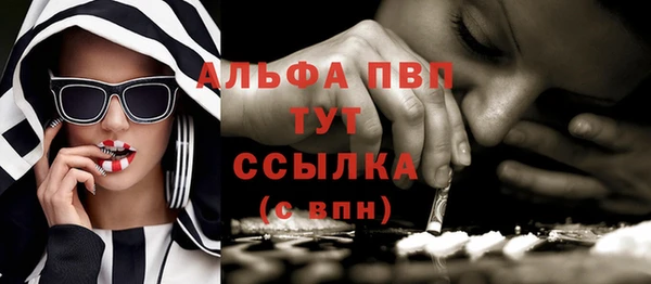 мдпв Дмитриев