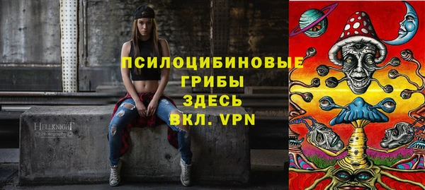 винт Дмитров