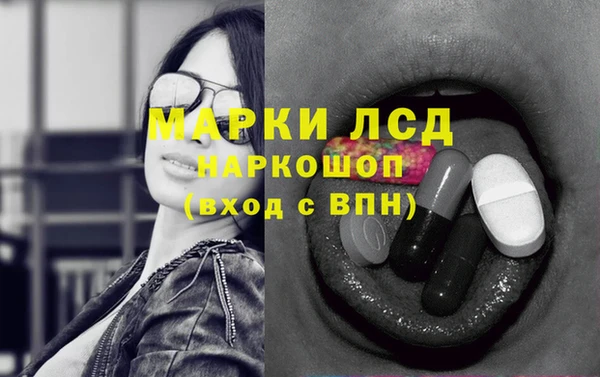 винт Дмитров
