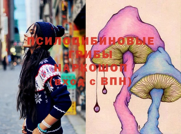 винт Дмитров