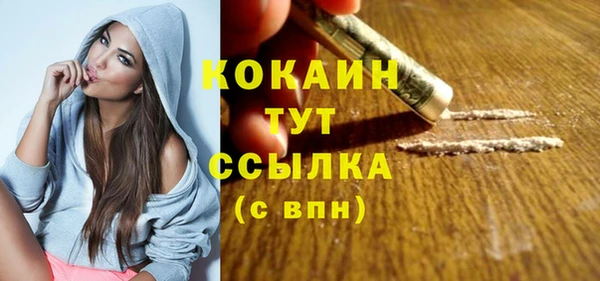 крисы Покачи