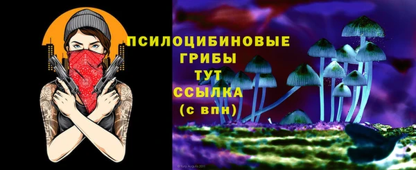 крисы Покачи