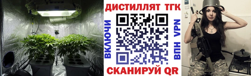 ТГК вейп с тгк  kraken как войти  Кадников 