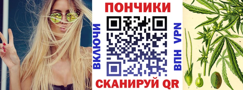наркотики  Кадников  Канабис марихуана 